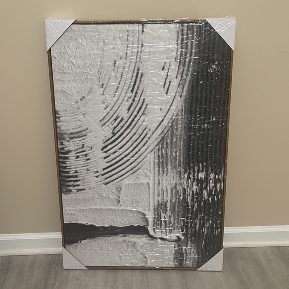 Natural Framed Canvas Wall Art Black White Abstract Illustrations Modern 24"x36 - Picture 2 of 2